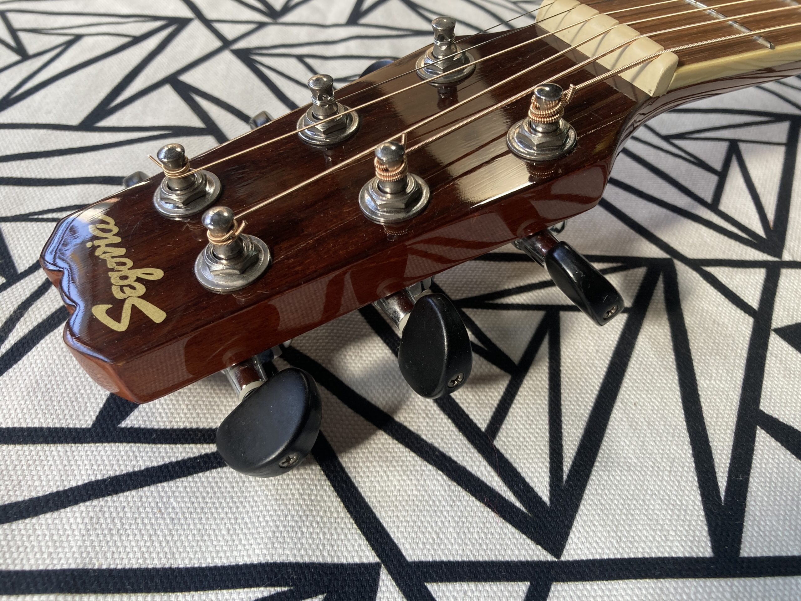 Used】Segovia / TF-10 GN ” Tarvel Guitar “ - ZEEK Guitars